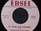 ERCELLE TISBY & HAL DAVIS: I'll Never Stop Dreaming / You, You, You 45 Soul