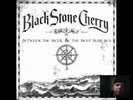 BLACK STONE CHERRY Between the Devil... Vinyl LP New Sealed