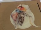 Fish Gentleman Excuse Me Uncut Shaped Pic Disc