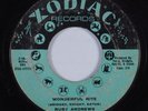 Northern Soul 45 RUBY ANDREWS Wonderful Nite ZODIAC HEAR