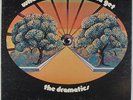 Dramatics - Whatcha See Is Whatcha Get LP - Volt