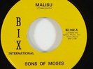 Sons Of Moses 