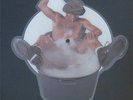 AC/DC: You shook me all night long / She's got balls (Live) Shaped Picture Disc
