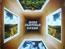 Mike Oldfield - Boxed (Box, Comp, RE + LP, Album, Quad +  - Vinyl - 108887