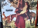 Orig '69 Freaky Acid Female Psych Powerhouse LP Fear Itself S/T DOT EX HEAR
