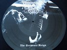 Drowning The Light - The Serpent's Reign ++ PIC-LP, lim.300 ++ NEU 