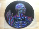 Tool Lateralus Reflection Promo Picture Disk Record Vinyl Rare