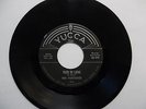 FORTUNES 45 This is love / Lonely teardrops YUCCA M- Doowop e5269