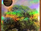 Yo La Tengo - Fade - Vinyl LP - 2013 - Rock