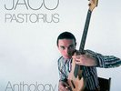 Jaco Pastorius Anthology The Warner Bros Years 12 Inch Vinyl LP Record 2015 New