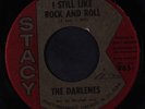 DARLENES: I Still Like Rock And Roll / You'll Hurt Me 45 (w/ company sleeve) Ol