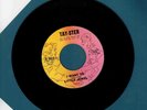 Little Jewel 45 rpm Record ''Tay-Ster records'' Northern Soul'' I Want To''