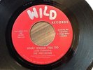 THE PRECISIONS - WHAT WOULD YOU DO - VERY RARE ISSUE