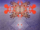 Tarot Sport - FUCK BUTTONS [LP]