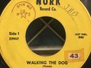 THE TROPHIES 45 Walking The Dog / Somethin Else GARAGE Nork 1964 w2103