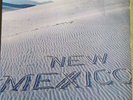 NEW MEXICO 