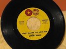 Sammy Ward 45rpm: Don't Take It Away/What Makes You Love Him. 1961
