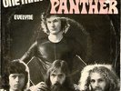 Panther  -One Man Band - Killer GLAM  The 3rd Pantherman single 1975 Hear