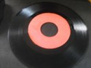 The Termites ?– Mama Didn't Know   /  Beach Boy  -VG+