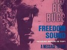 BED BUGS: Freedom Sound / A Message To You (scarce German REGGAE 7