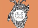 Allen Stone - Radius