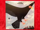 Tucky Buzzard