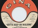 HEAR - Rare Northern Soul 45 - Little Herman - Gotta Keep On Walking - Gina #751