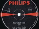 Missing Links ORIG OZ 45 Garage Punk killer Wild about you VG+ ’65 Philips BF224