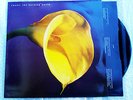Swans ?– The Burning World UK 1989 EDITION MEDIA ALMOST NEAR MINT