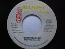 SYLFORD WALKER/BURN BABYLON