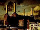 PINK FLOYD - ANIMALS  - COLORED VINYL  - LP