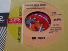 Wild Fuzzed Out Mod Freakbeat Psych Promo 45 The Eggy You're Still Mine NM HEAR