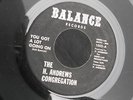 1SR BALANCE SF BAY THE H ANDREWS CONGREGATION DREW LIES & ALIBIES YOU GOT A LOT