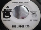 NM Rare Organ Garage Rock Mod 45 : The Jades LTD.   You're Not There   Tower 366
