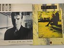 Collectible STING Vinyl LP's x 2 'TEN SUMMONERS TALES' & 'BLUE TURTLES' - 8 E02