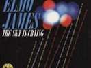 Elmore James - The Sky Is Crying - - Vinyl Blues