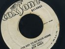 1391 BOB ANDY-I'VE GOT TO GO BACK HOME-MELODIANS-LAY IT ON-REGGAE 45 7