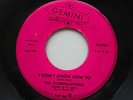 The Constellations - I Didn't Know How To 7