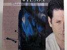 Brian Wilson ?– Brian Wilson SEALED 1st Press 1988 USA LP The Beach Boys