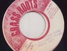 '77 GRASS ROOTS REGGAE 45 NATTY ALL FOR ONE AND ONE FOR ALL lee perry black ark?