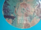 Guns n roses yesterdays picture disc 12