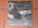 pink floyd live the best of tour 72 LP 12