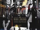 Dixie Chicks - Taking the Long Way (2 Vinyl LPs, 2016) ***BRAND NEW/SEALED***