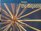 The Delgados - Peloton (Vinyl LP on Chemikal Underground) (Indie) VG