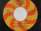 Northern Soul 45 - Sandy & The Pebbles - He's My Kind Of Fellow - Mercury - mp3