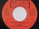 Modern Soul 45 - Chosen Few Band - What It Takes To Live - BR - VG+ mp3 - rare