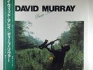David Murray 