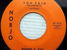 RONNIE & JOEY You said Hi De Ho OBSCURE 1960's TEEN Rocker NORJO 45 e5362