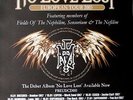 NO LOVE LOST - NFD - 2005 - Tourplakat - Fields of the Nephilim - Signed - Poste