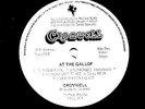 CROMWELL   AT THE GALLOP   WELL005 1975 IRISH PRIVATE PRESS PROG SUPERB VINYL